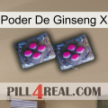 Ginseng Power X 01